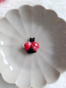 biedronka-spinka-do-włosów (1).jpg