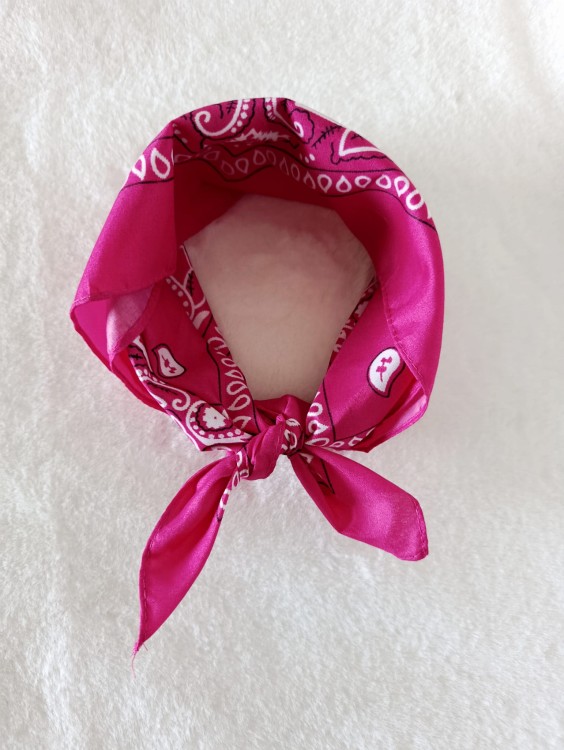 apaszka-damska-malinowa-na-wiosnę (1).jpg